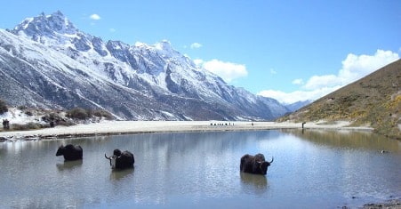 Best Top 10 Hidden Treks in Paro - The Dagala Thousand Lakes Trek